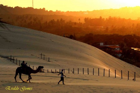 Dunas de Genipabu